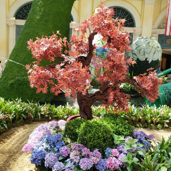 Hello! - Picture 1 of 1